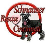 Schnauzer of Cincinnati Rescue