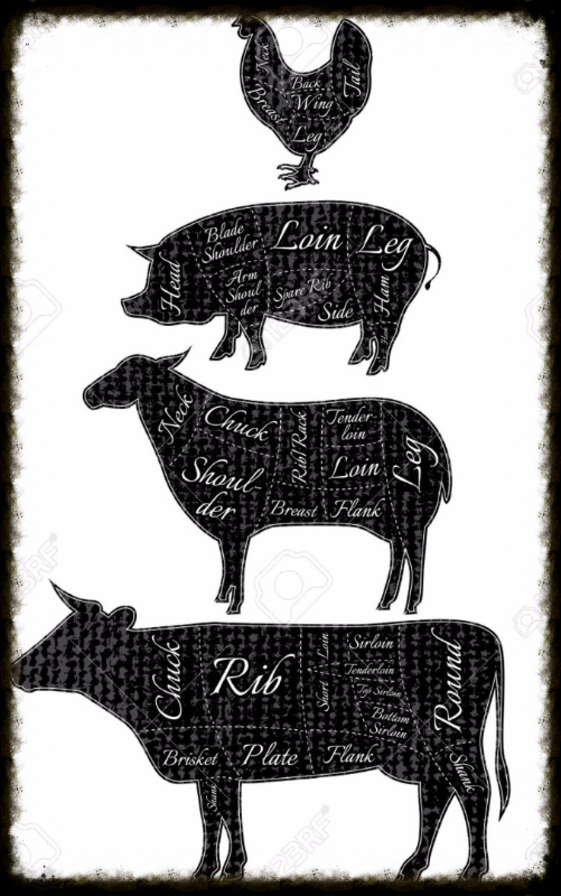 About Sailer's Food Market & Meat Processing, Inc.