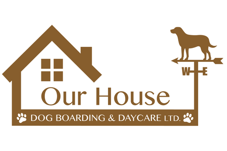 Dog boarding shop home from home