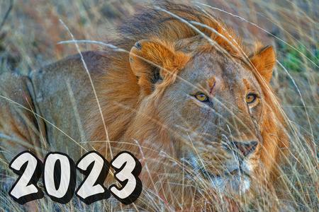 2023 TAASA Africa Safari