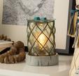 Electric Warmers for Scented Wax Melts | Scentsy Warmers