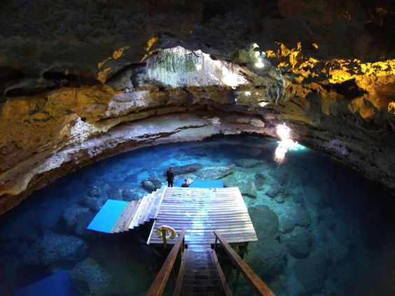 The Devil's Den Florida - The Prehistoric Spring for Snorkeling and Diving 