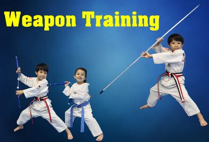 Weapon Training, Martial Arts