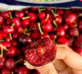 quả cherry, cung cấp hoa quả nhập khẩu cao cấp tại Hà Nội