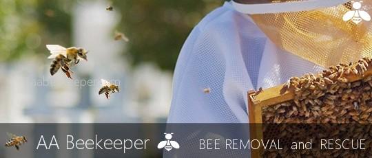 Bee Removal Orange County - AA Beekeeper