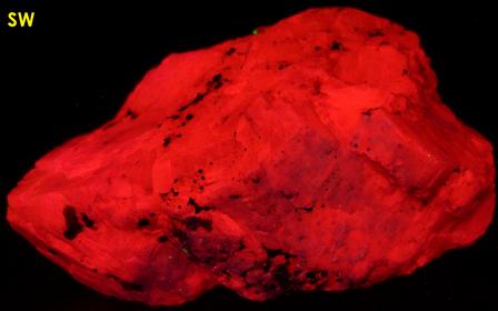 fluorescing CALCITE, MAGNETITE - Franklin, Franklin Mining District, Sussex County, New Jersey, USA - ex Borden, ex Morris Museum