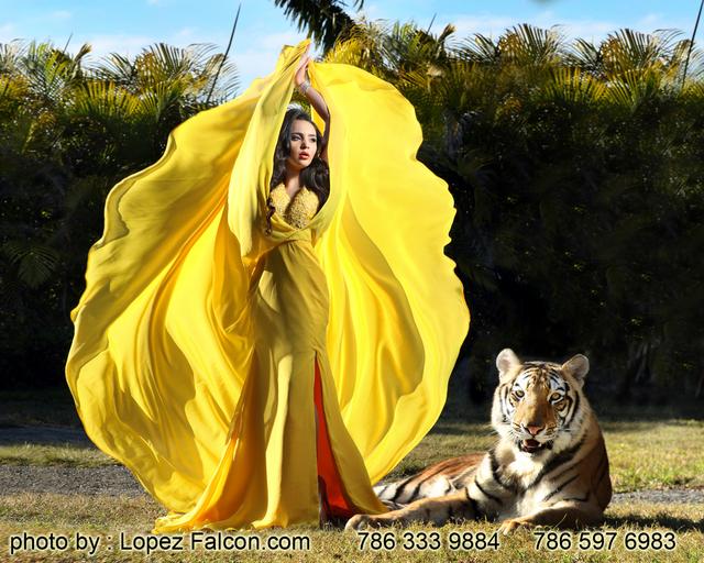 Quince Photography Miami tigre tiger The Secret Gardens Quinceanera Dresses Video Quinces dress