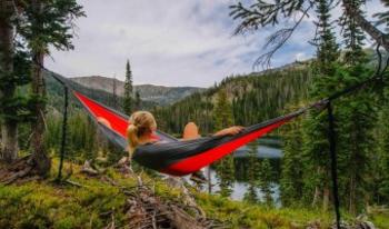 7 Great Health benefits of spending time in forest