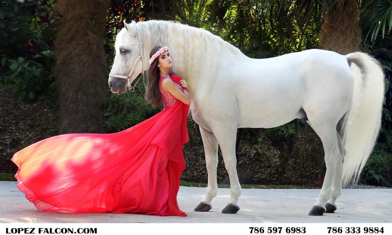 quinceanera white horse secret gardens quince quinces photography video dresses