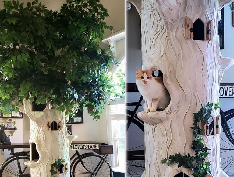 Fantasy Trees bring out your Cats Wild Side