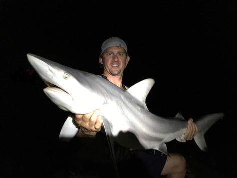 Australia Bowfishing for Sharks