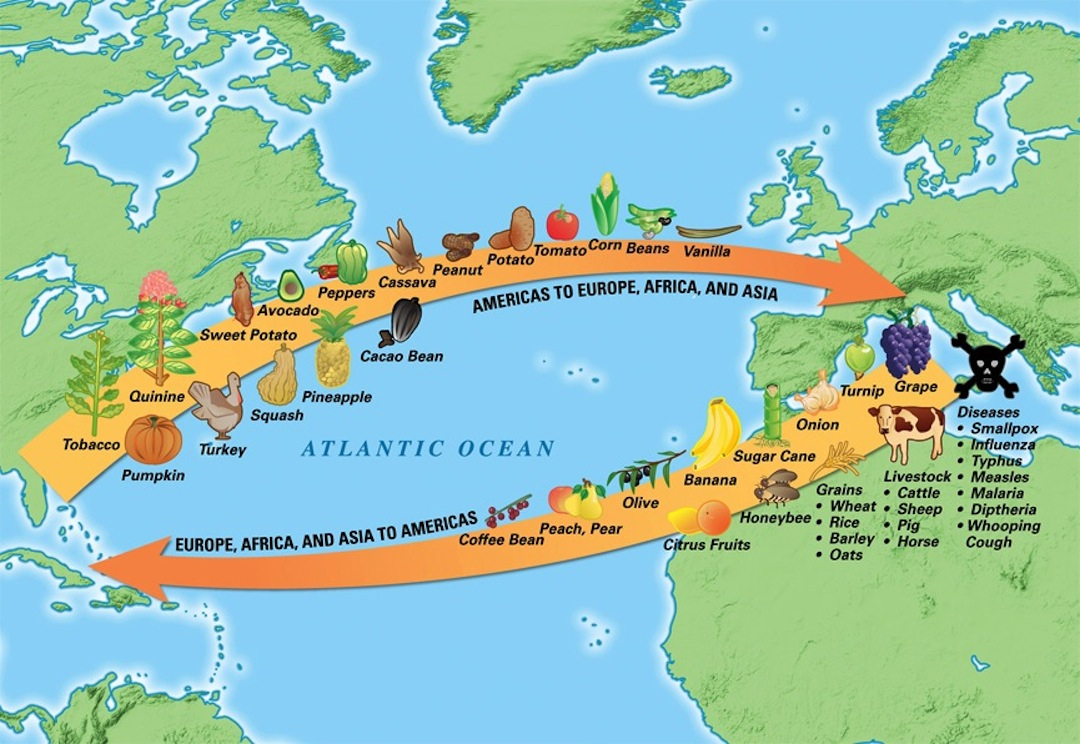 Colonial Trade Routes and Goods