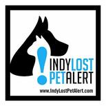 Indy Lost Pet Alert.