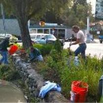 Ivy House Garden Work Day Placerville California Community Pride Volunteers