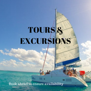 Book tours & excursions ahead to ensure availability. Discover and book excursions, tours, and attractions in destinations around the world.