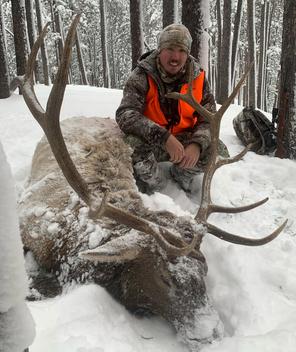 Fully Guided Elk Hunting Montana www.2houtdoors.com