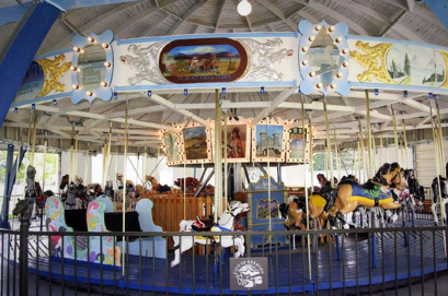 Tracy Harris Artist, Carousel Horse, Watercolor