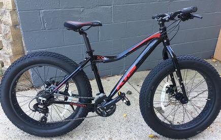 Evo brewster best sale fat bike price