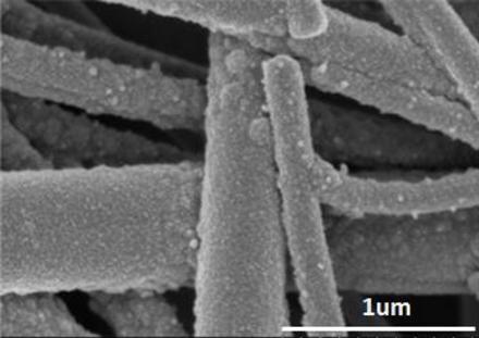 SEM micrograph from Ag coated glass fiber filter paper showing excellent conformality.