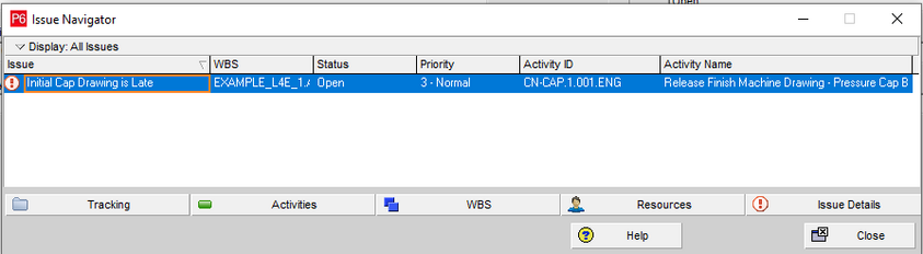 Issue navigator in Primavera P6 window