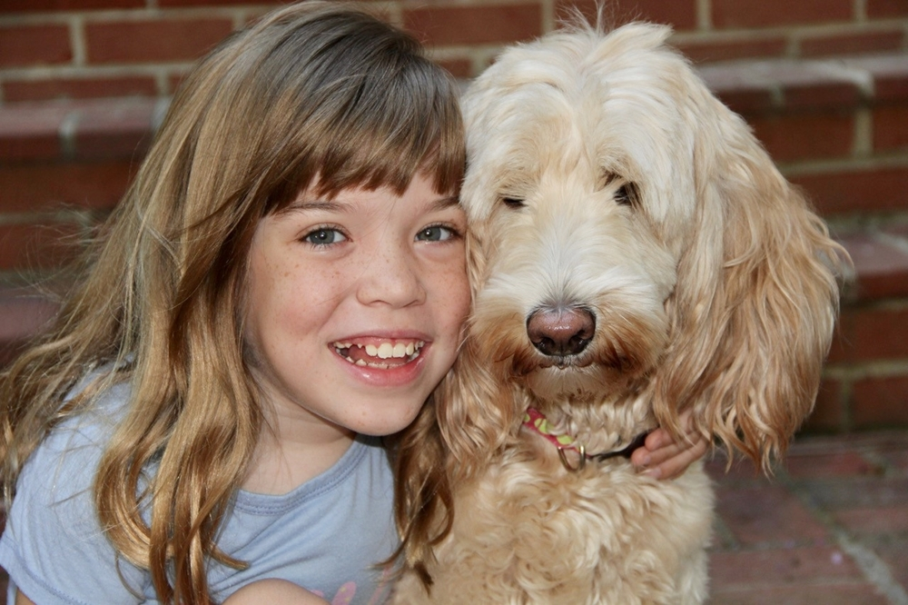 Waltzing matilda's sale labradoodles