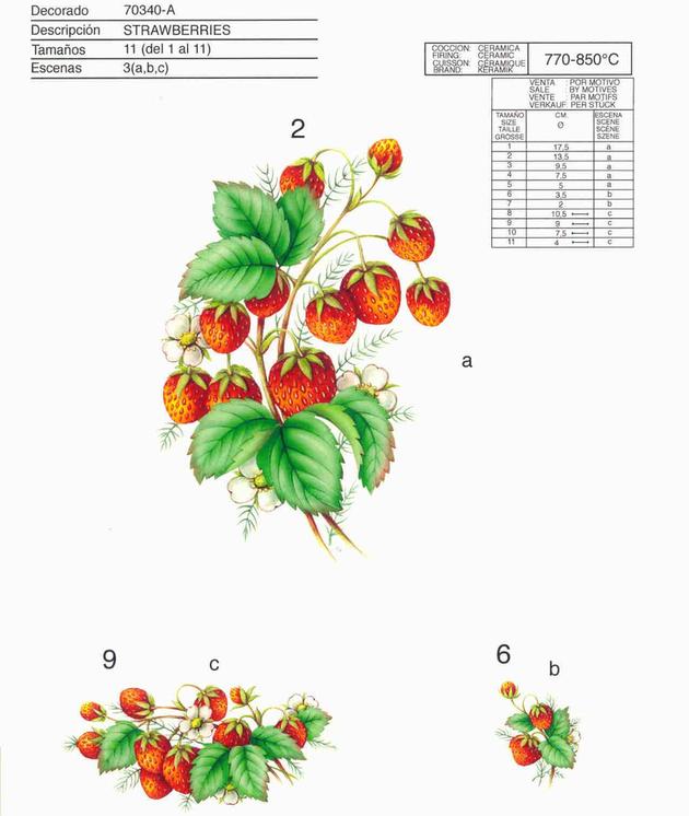 Calcas cerámicas de frutas by Calcodecal Ceramic decals