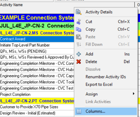 Close the user defined fields Primavera P6 box