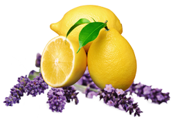 Lemons and Lavender