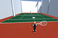 Virtual Reality Tennis and Soccer