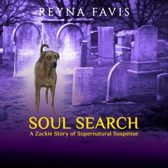 SOUL SEARCH Audiobook