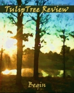 Tulip Tree Review Tulip Tree Review
