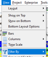 Go to Primavera P6 view tab and select filter by