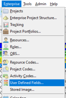 Go to Enterprise tab and select user defined fields in Primavera P6