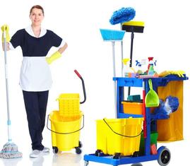 janitor with cleaning supplies