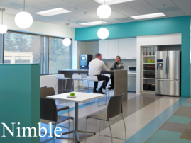 Nimble