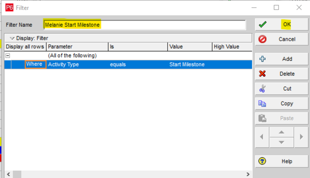 Enter filter name in Primavera P6 filter box