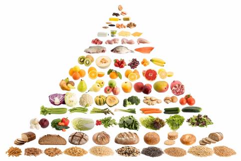 Nutrition Guide & Diet Groups