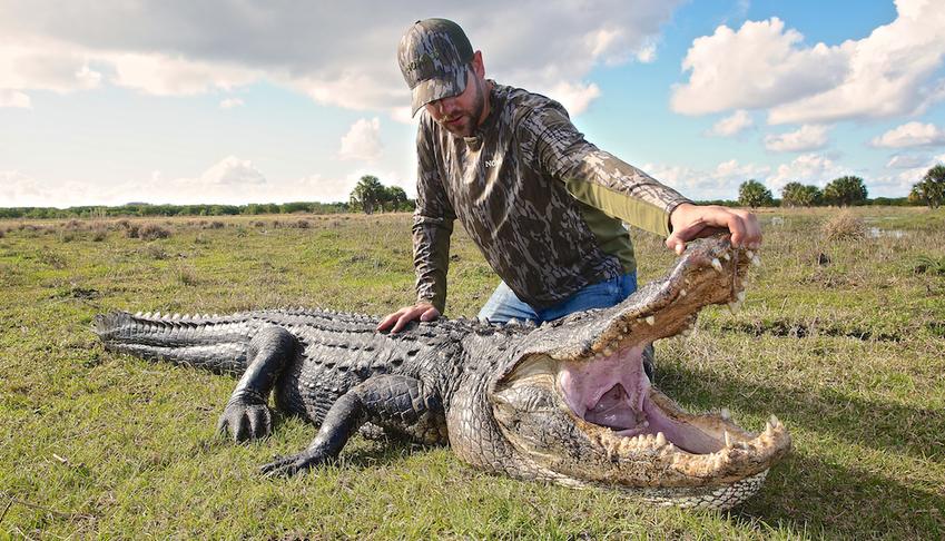 Trophy Gator Hunting