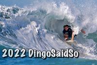 2022 Dingosaidso book highlights