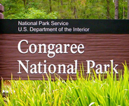 Congaree National Park