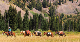 Yellowstone National Park, pack string, pack trips, adventure, Snake River