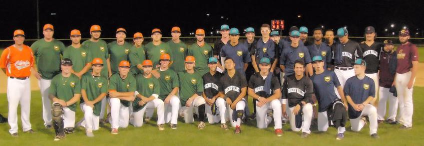 Metropolitan Collegiate Baseball League Collegiate Baseball League