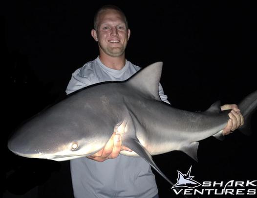 Bull Shark Fishing at Night