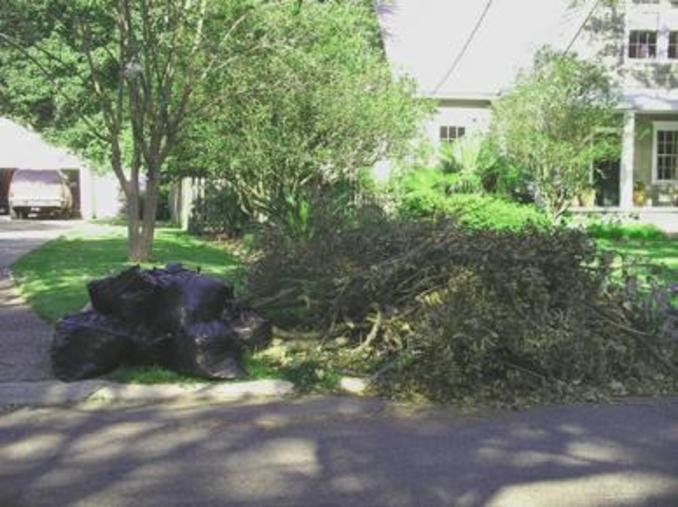 LAWN TRASH REMOVAL SERVICES
