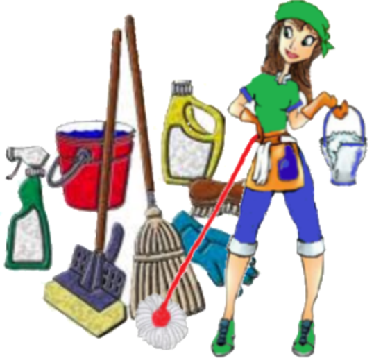 REGULAR CLEANING SERVICES FROM MGM HOUSE HOLD SERVICES