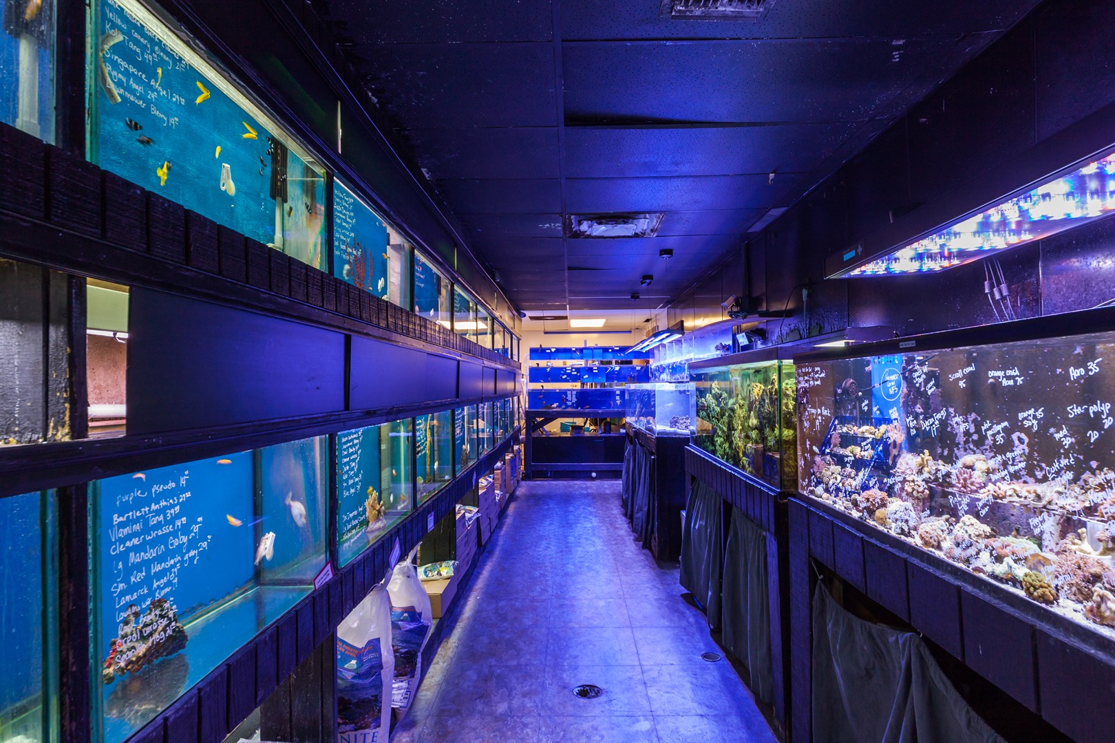 Salt hotsell aquarium store