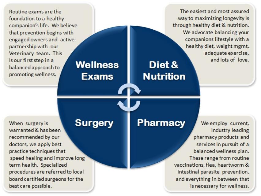 Cincinnati Hills Animal Clinic Companion Animal Plan [CAP] Model for SUCCESS