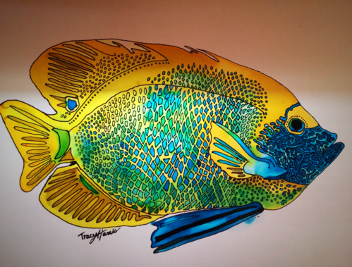 Tracy Harris silk Artist, Gutta, Dyes, Blue Angelfish, Limited Edition Prints Available, San Diego Artist Tracy Harris