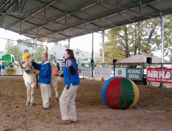 Lisa Wysocky PATH clinic at the World Equestrian Games in Lexington, KY