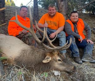 Montana Elk Hunting www.2houtdoors.com
